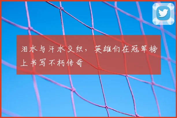 泪水与汗水交织,英雄们在冠军榜上书写不朽传奇
