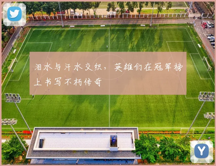 泪水与汗水交织,英雄们在冠军榜上书写不朽传奇