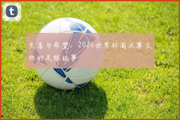 失落与希望,2026世界杯淘汰赛交织的足球故事